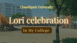 Lohri Celebration in my college | Chandigarh University 🎇